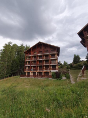 Très bel appartement vue montagne du Dévoluy